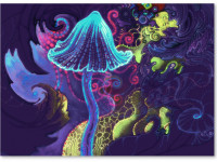 Волшебные грибы способны восстанавливать клетки мозга