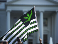 США: В политике марихуаны хаос. Как и везде, где отметился Трамп