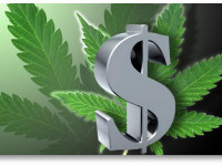 Легальные продажи марихуаны принесли в казну Колорадо больше, чем ожидалось