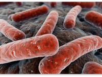 Конопля и туберкулез