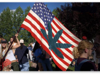 Законопроекты о легализации марихуаны на всей территории США и другие заголовки