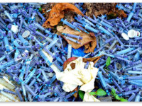 Марихуана не ухудшает состояние печени у пациентов, инфицированных ВИЧ и гепатитом С