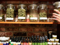 США: Продажи конопли к 2021 году достигнут $17 млрд в год