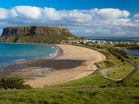 Австралия: Штат Тасмания запускает программу по медицинской конопле