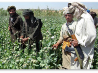 Война с наркотиками и международный терроризм: Как Запад сам финансирует своих убийц