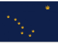 Аляска: Первый в истории штата магазин марихуаны открыл свои двери для сотен желающих