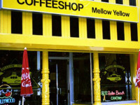 Нидерланды: Не всё спокойно в столице кофешопов