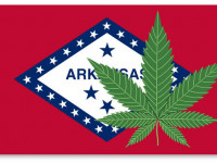 Арканзас: Голосование по вопросу легализации медицинской марихуаны состоится, постановил суд