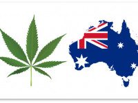 Большинство австралийцев поддерживают легализацию медицинской марихуаны