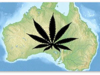 Мировой конопляный рынок расширится в Австралию