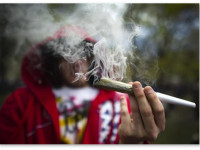 Калифорния: Реформы законов о марихуане не повредили подросткам