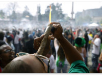 Потребление легальной марихуаны в Колорадо превысило прогнозы почти на треть