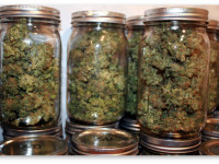 Эх, знать бы раньше! 13 ошибок начинающего индорщика