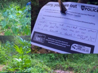 Не найдя гровера, полиция оставила ему записку