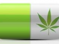 Обезболивание без побочки: Лечение зависимости от препарата Списка II с помощью растения Списка I