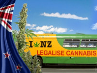 Новая Зеландия: Сняты ограничения на медицинскую коноплю