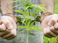 Зампрокурора приравнял травку к педофилии