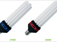 Холодный спектр на цвет: Психоактивность в ущерб урожайности?