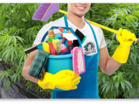 10 советов по соблюдению чистоты и порядка в боксе