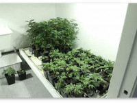 pH - что это такое?