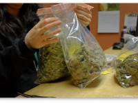 Fox Business: Цены на легальную траву в Колорадо падают, но даже не пытайтесь угадать причину