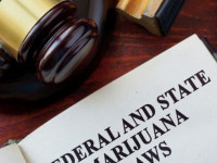 Колорадо готовится к возможным рейдам на конопляную отрасль