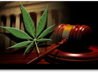 Инициатива легализации медицинской марихуаны во Флориде под угрозой