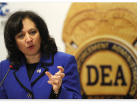 Управление по борьбе с наркотиками США возвращает конфискованные семена конопли