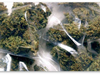 Техас: Полиция Хьюстона за первый раз даст один шанс