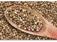 Диета с семенами конопли укрепляет здоровье сердца