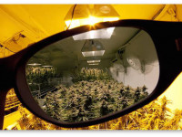 Как защитить глаза от яркого света в гроубоксе?