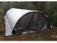 Как принудительно перевести коноплю на цвет в открытом грунте