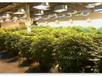 Чайникам о EC (электропроводности) и PPM (частицах на миллион)