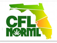 Флорида: Противники медицинской марихуаны потратят $10 млн на свою кампанию; их оппоненты тоже собирают деньги