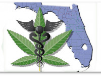 Флорида: Активисты готовятся к новому раунду борьбы за медицинскую марихуану