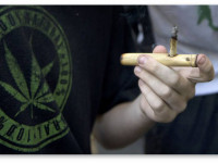 Франция: Что выиграет государство в случае легализации марихуаны