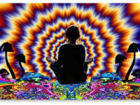 Исследование: Сходство между эффектами галлюциногенов и медитацией