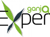 GanjaExpert – энциклопедия о конопле