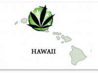 Гавайи, США: Закон о создании сети конопляных аптек вступил в силу