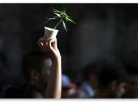 Германия: Тысячи немцев вышли на марш за легализацию марихуаны