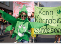 Немецкие профессора уголовного права требуют легализации