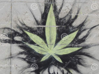 Курение конопли не повышает риск шизофрении