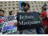 Грузия: Почему провалилась идея декриминализации марихуаны