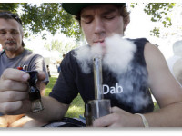 Марихуана ведет к тяжелым наркотикам? Скорее наоборот - отталкивает от них!