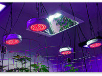 Что такое PAR и какие еще характеристики учесть при выборе ламп?