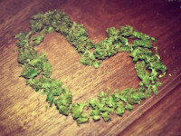 Медицина: Всё, что известно об употреблении конопли при нездоровом сердце