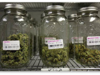 Сбор урожая, сушка и пролечка для новичков