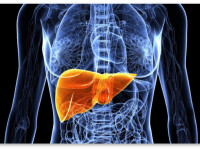 Может ли марихуана помочь при гепатите С?