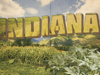 Индиана: Конгресс разрешил применение лекарства из конопли