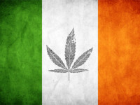 Ирландия разрешит марихуану при ряде заболеваний